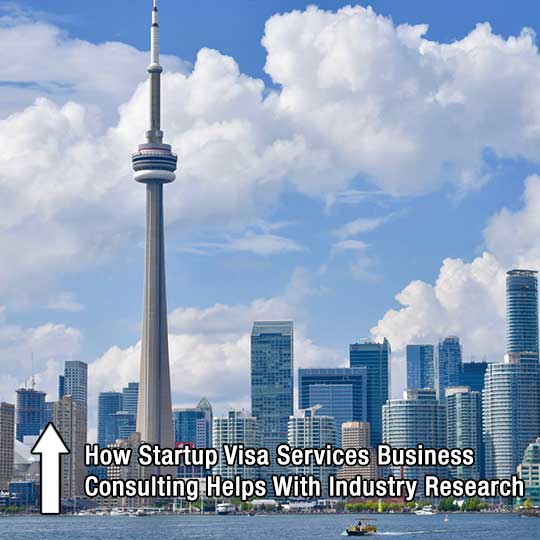 How Startup Visa Services Business Consulting Helps With Industry Research