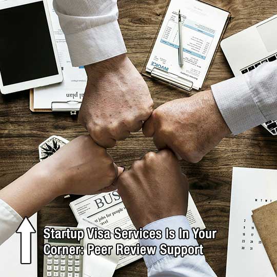 Startup Visa Services Is In Your Corner: Peer Review Support
