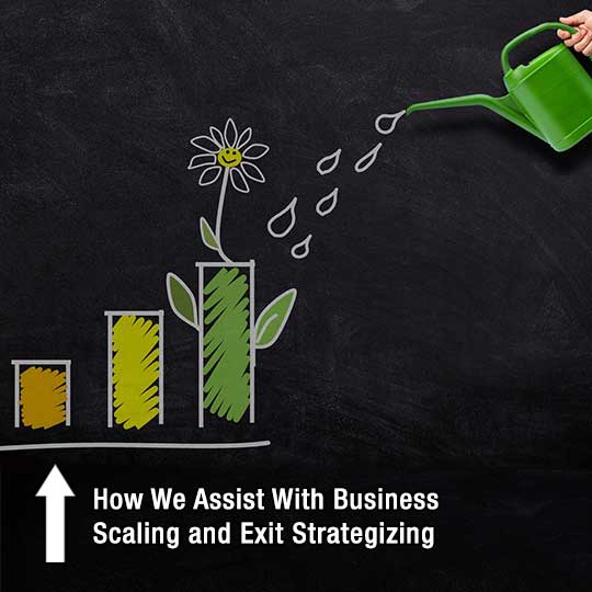 How We Assist With Business Scaling and Exit Strategizing
